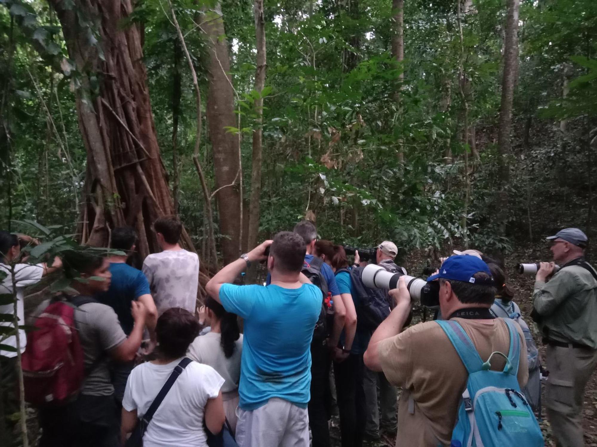 Tangkoko Backpacker Home Stay Rinondoran Zewnętrze zdjęcie