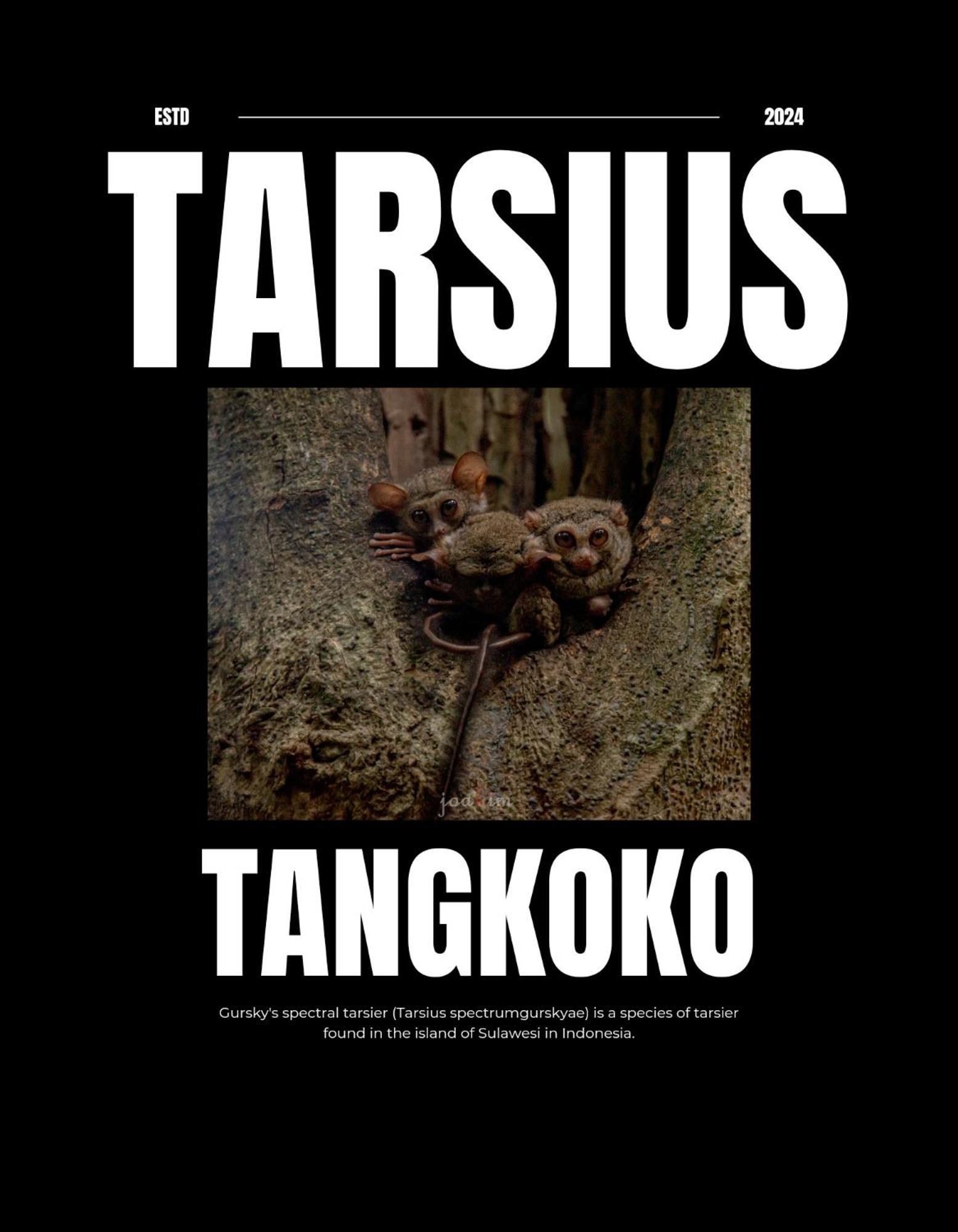 Tangkoko Backpacker Home Stay Rinondoran Zewnętrze zdjęcie